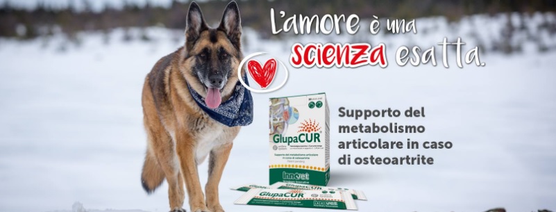 Per curare l’Osteoartrite del tuo cane usa Glupacur