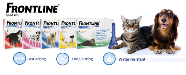 Frontline: antiparassitari per cani e gatti