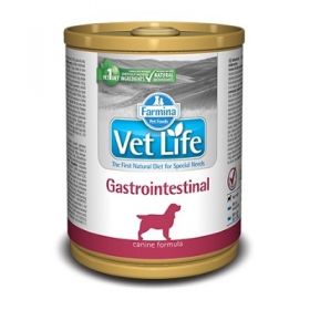 Farmina Vet Life Cane Gastrointestinal 300 gr 