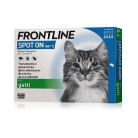 Frontline spot on per gatti 4 pipette