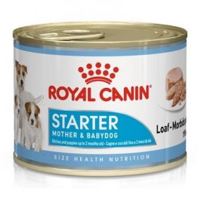 Royal Canin Cane Starter Mousse Mother & Babydog 195 gr